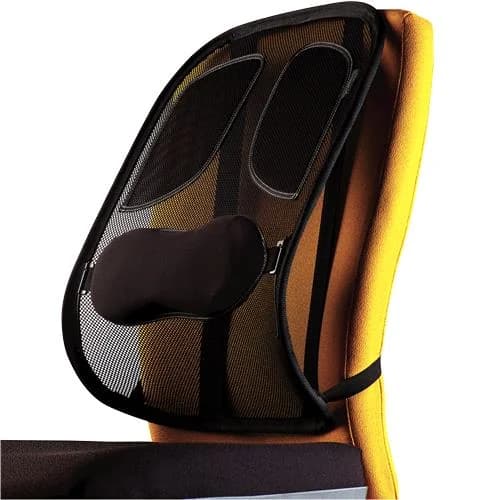 CHAIR MESH BACK SUPPORT/PROFESSIONAL 8029901 FELLOWES - Image 1