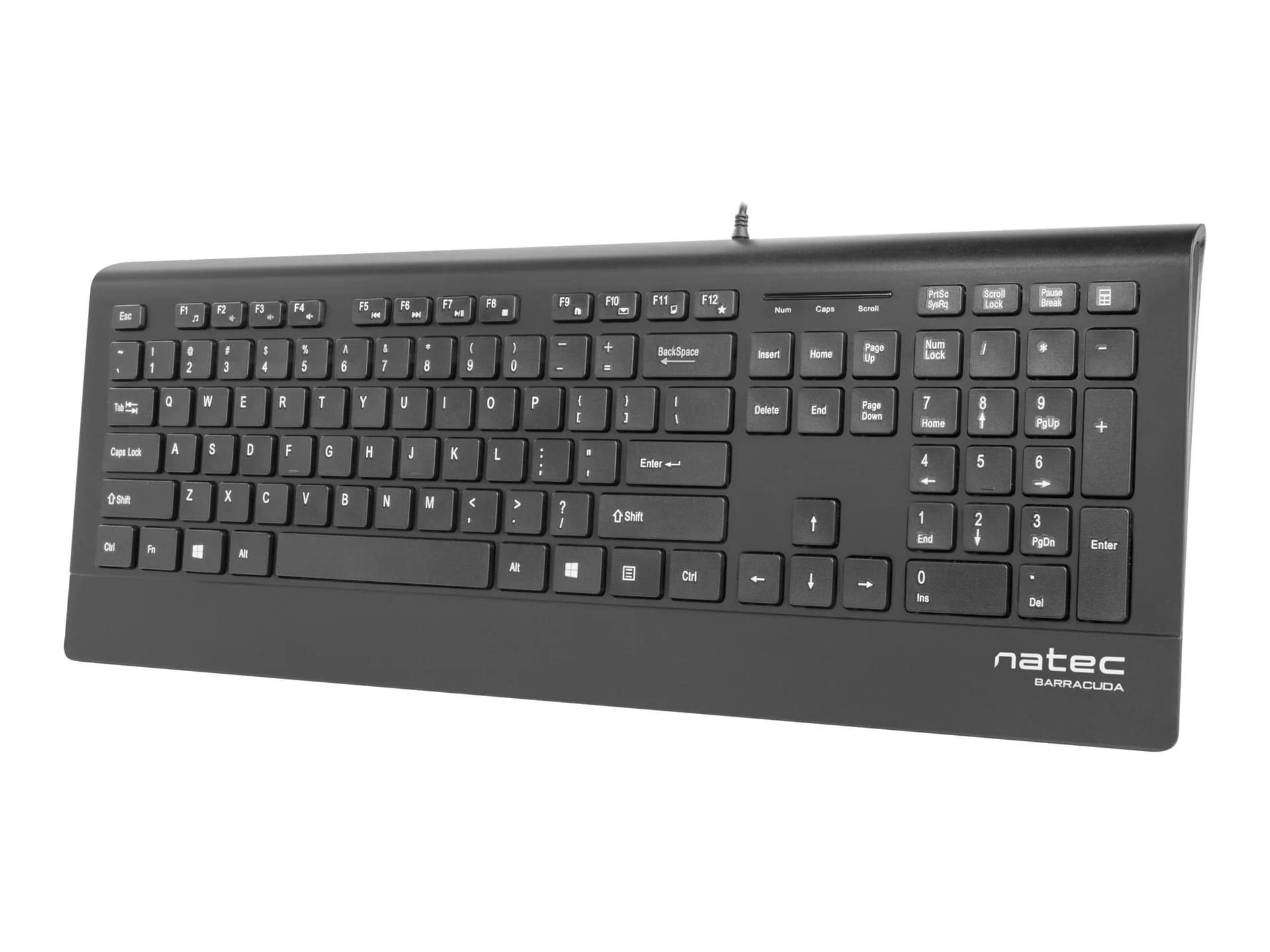 Natec Keyboard, Barracuda, US Layout, Slim Natec Keyboard Barracuda Standard Wired US Black 529 g - Image 2