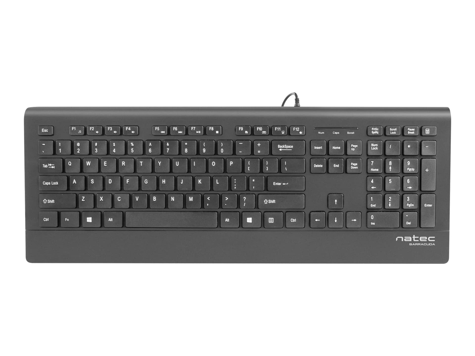 Natec Keyboard, Barracuda, US Layout, Slim Natec Keyboard Barracuda Standard Wired US Black 529 g - Image 4