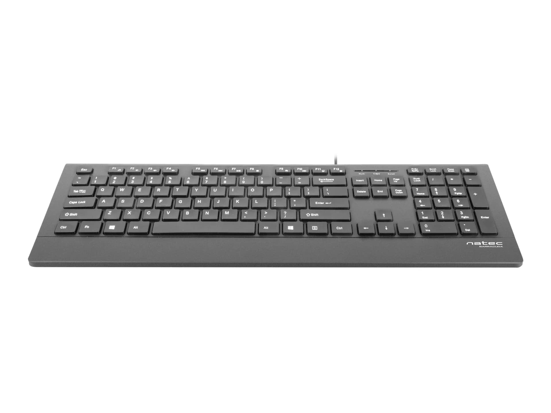 Natec Keyboard, Barracuda, US Layout, Slim Natec Keyboard Barracuda Standard Wired US Black 529 g - Image 6