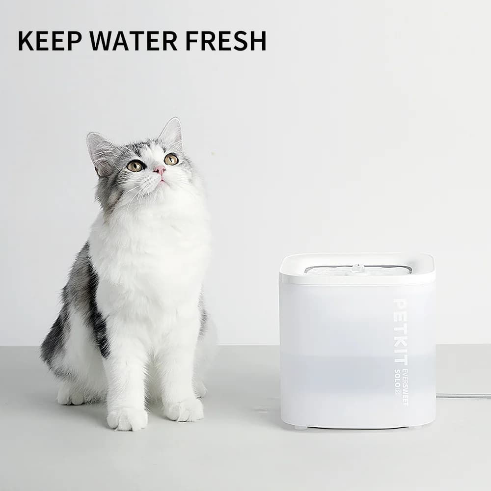 PETKIT   Smart Pet Drinking Fountain   Eversweet Solo   Capacity 1.8 L   Filtering   Material Plastic   White - Image 12