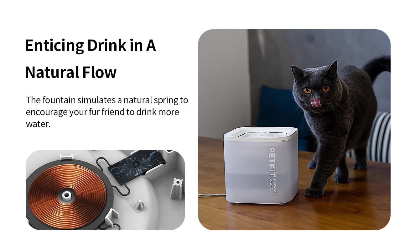 PETKIT   Smart Pet Drinking Fountain   Eversweet Solo   Capacity 1.8 L   Filtering   Material Plastic   White - Image 9