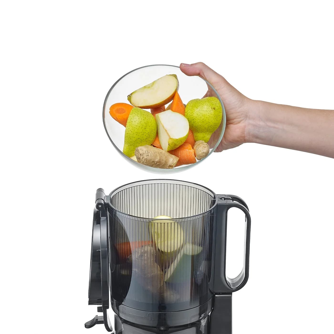 Caso   Design Slow Juicer   SJW 600 XL   Type  Slow Juicer   Black   250 W   Number of speeds 1   40 RPM - Image 7