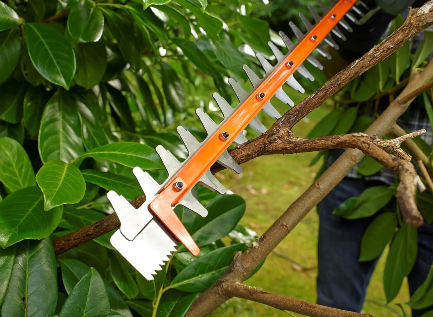 BLACK & DECKER Hedge trimmer BEHTS451-QS 550 W - Image 4
