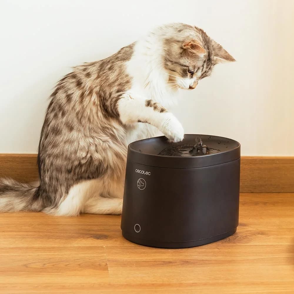 Cecotec Smart Pet Fountain   Pumba 2500 Refresh   Capacity 2.5 L   Black - Image 5
