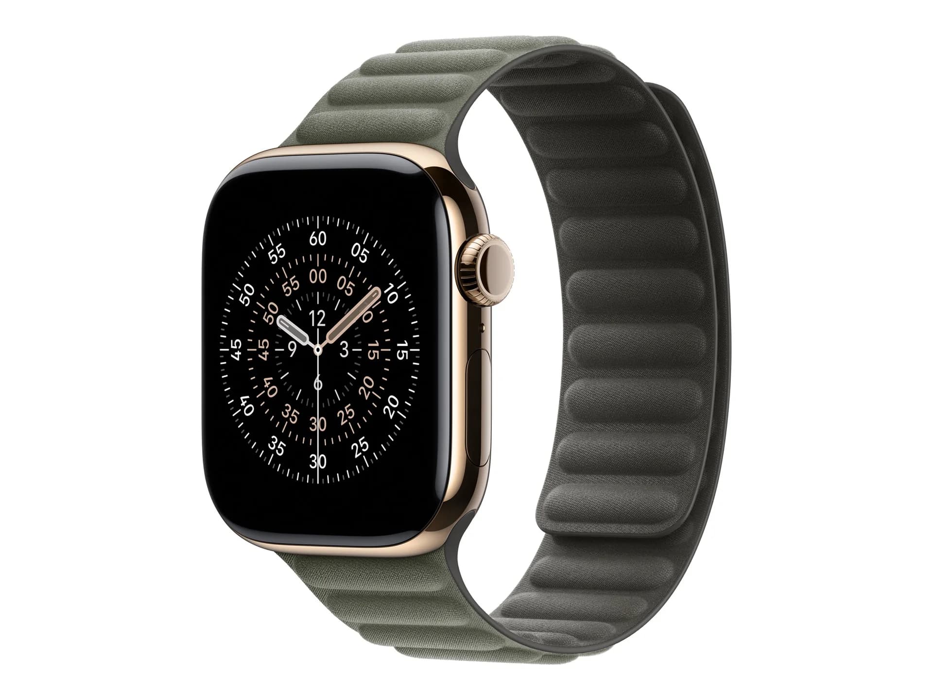 Apple 42mm Sage Gray Magnetic Link - S/M Apple - Image 2