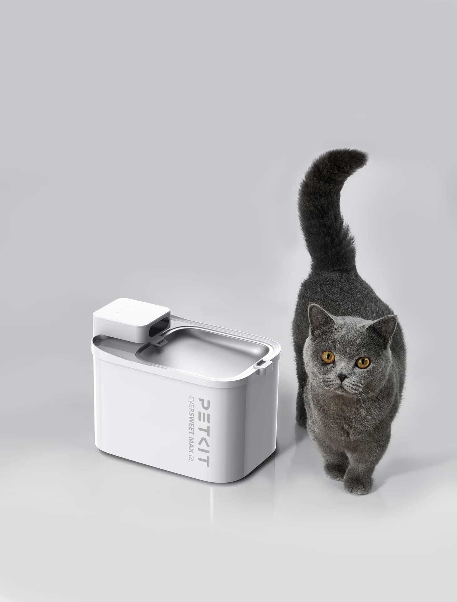 PETKIT Drinking Fountain   Eversweet Max 2   Capacity 3 L   Material BPA Free   White - Image 10
