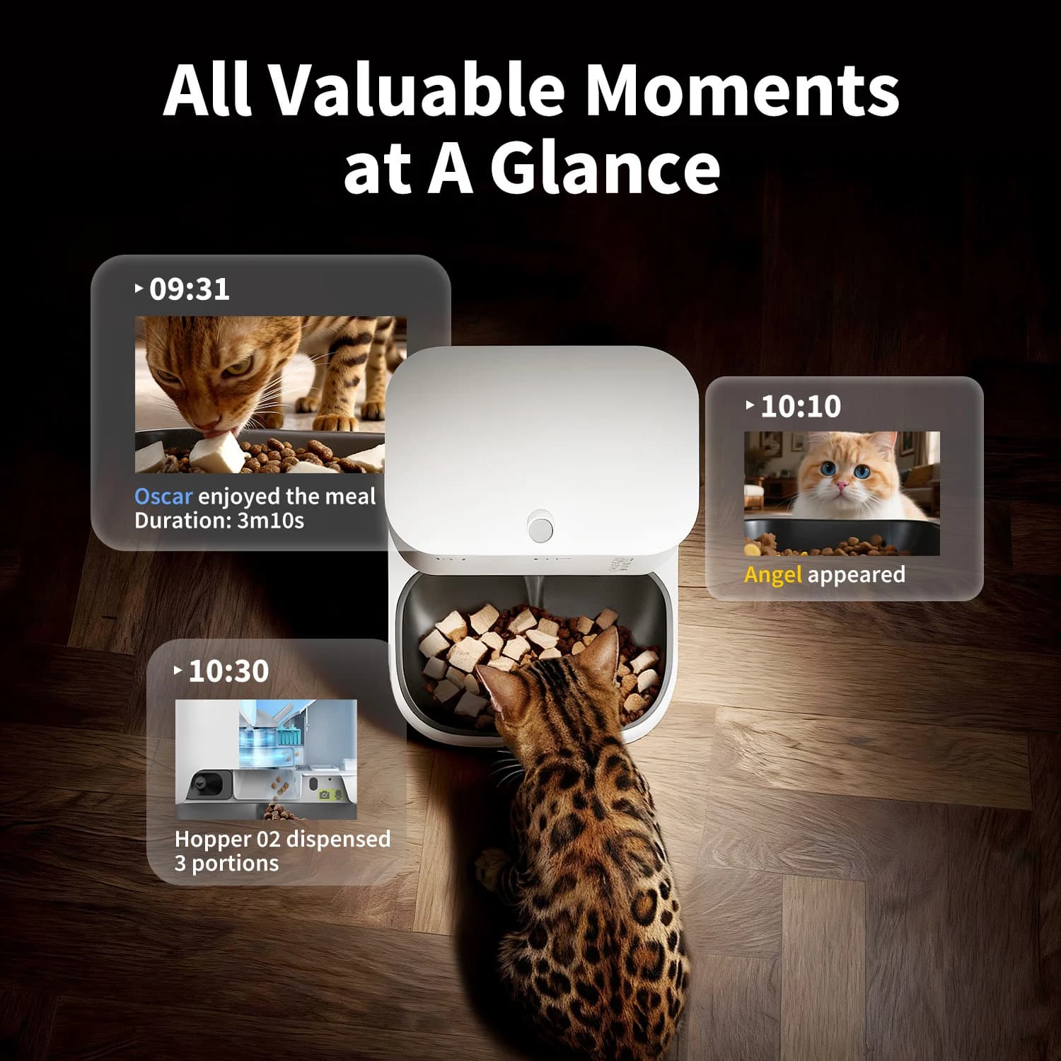 PETKIT YumShare Dual-hopper 2 Automatic Feeder with Camera   Capacity 5 L   Material ABS, 304 stainless steel   White - Image 3