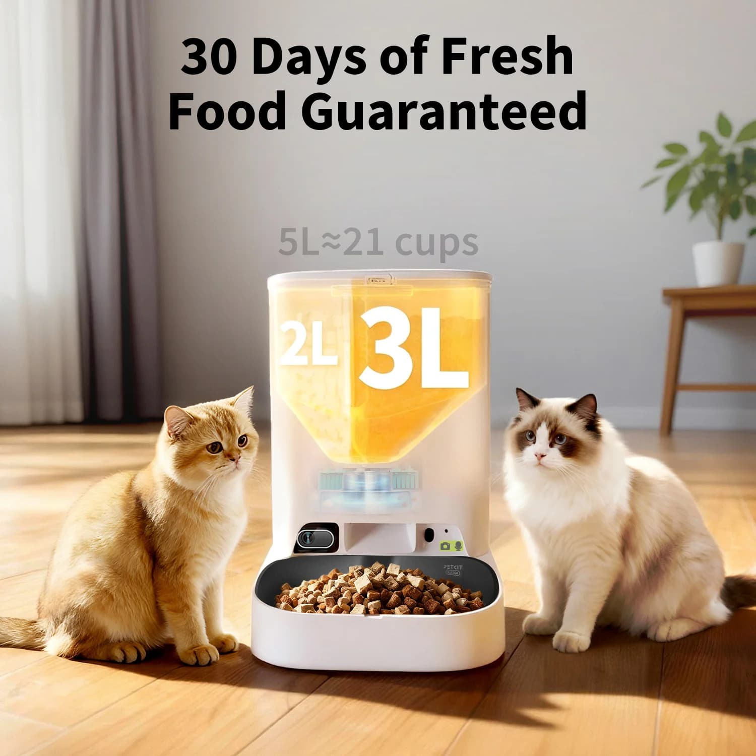 PETKIT YumShare Dual-hopper 2 Automatic Feeder with Camera   Capacity 5 L   Material ABS, 304 stainless steel   White - Image 6