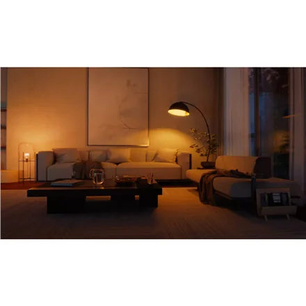 Philips Hue WCA A60 E27 2KIT SW Pro EU   E27   White and colored light - Image 7
