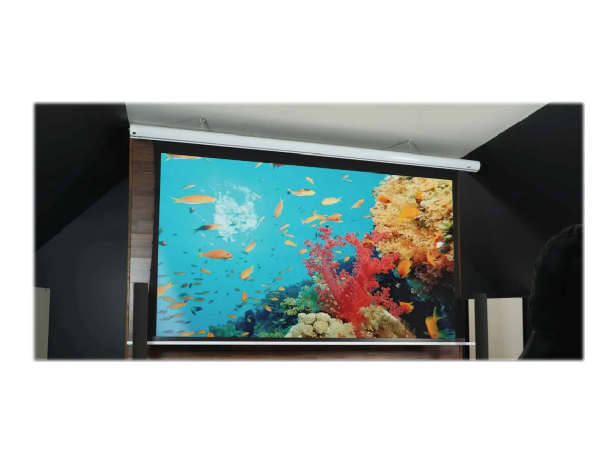 Elite Screens - Image 5