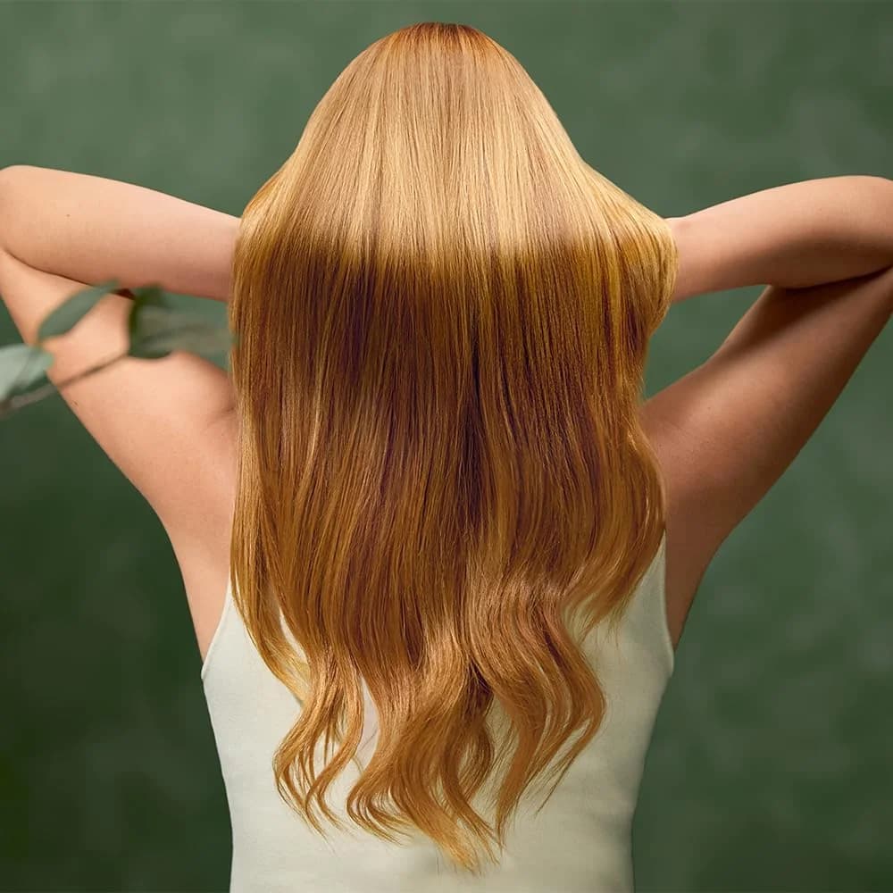 Cecotec Hair dryer IoniCare Dry&Keratin Olive 1200 W Ionic function Number of temperature settings 1 Green - Image 5